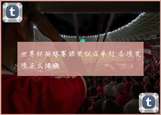 世界杯排球赛颁奖仪式举行 各项奖项正式揭晓