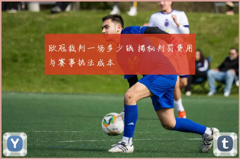 欧冠裁判一场多少钱 揭秘判罚费用与赛事执法成本