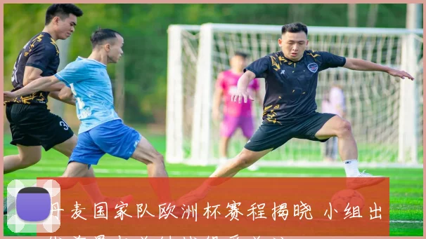 丹麦国家队欧洲杯赛程揭晓 小组出线前景与关键战役受关注