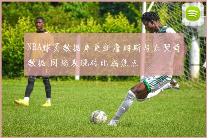 NBA球员数据库更新詹姆斯与东契奇数据 同场表现对比成焦点