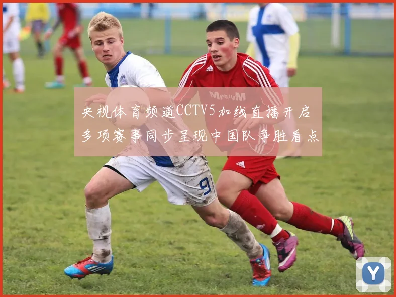 央视体育频道CCTV5加线直播开启 多项赛事同步呈现中国队争胜看点