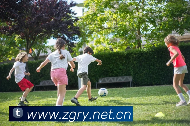 开云官方登陆入口平台生态图